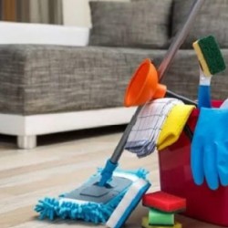 Ev Temizliği